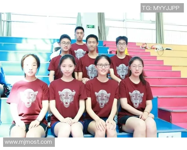 南京乒乓球队实力对比深度解析及未来发展趋势展望 南京乒乓球队实力对比深度解析及未来发展趋势展望