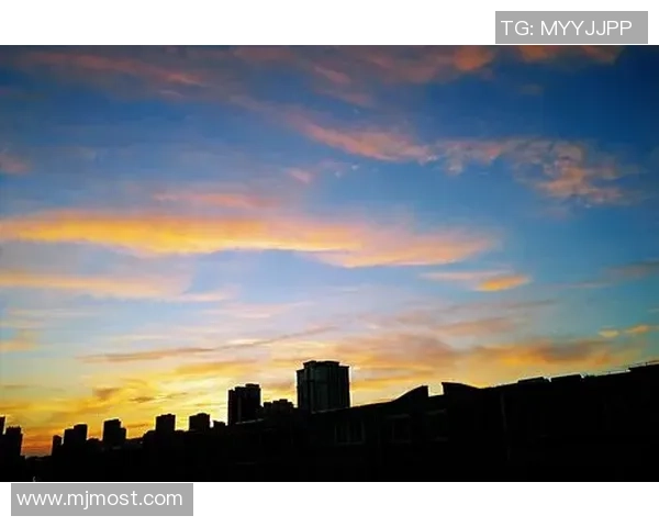 南京篮球队的崛起之路总决赛特别报道见证成长与团结的精彩瞬间