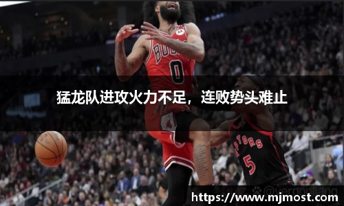 VSport官网入口vsport体育在线官网