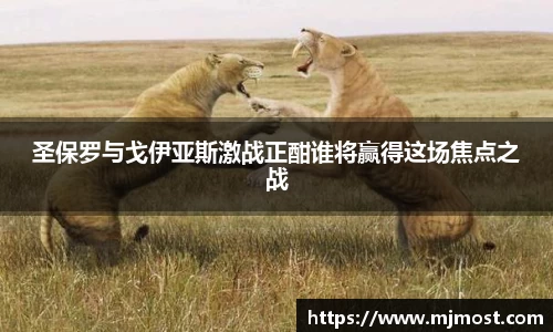 VSport官网入口vsport体育在线官网