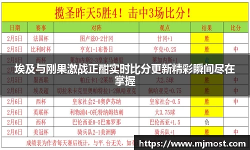 VSport官网入口vsport体育在线官网