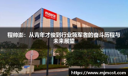 程帅澎：从青年才俊到行业领军者的奋斗历程与未来展望