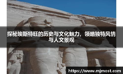 VSport官网入口vsport体育在线官网