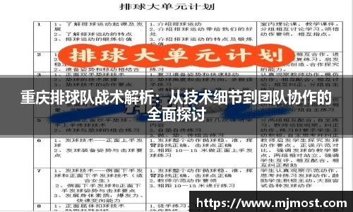 VSport官网入口vsport体育在线官网
