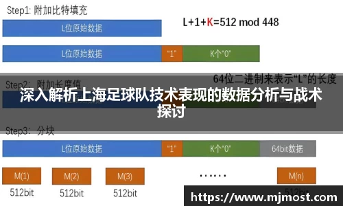 深入解析上海足球队技术表现的数据分析与战术探讨